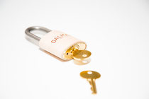 Dallman Supply Bike Jon Lock natur