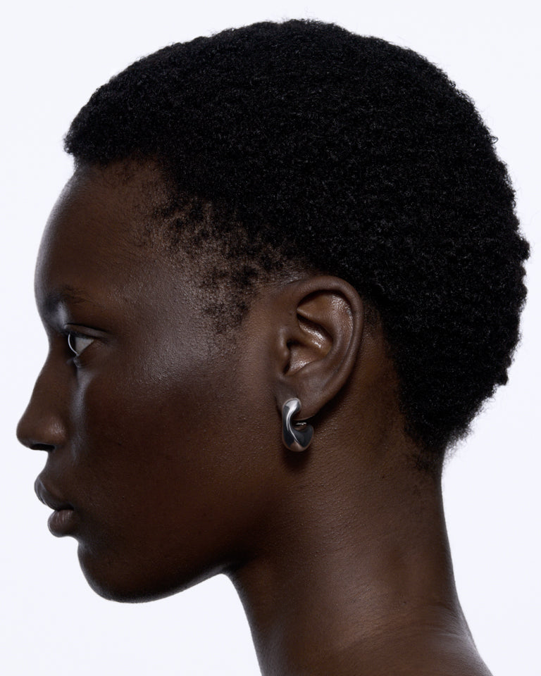 Dolphin Earring