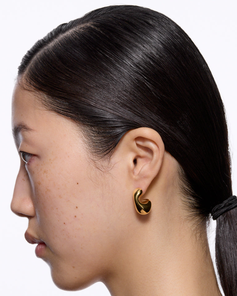 Dolphin Earring
