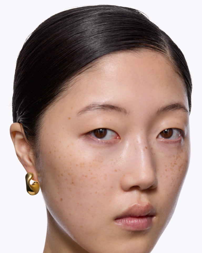 Dolphin Earring