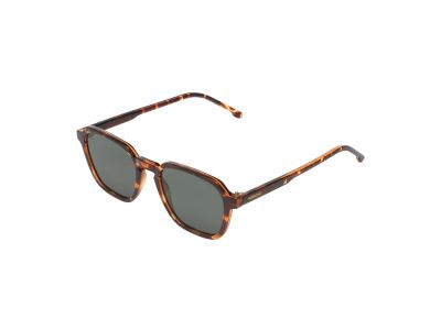 MATTY sunglasses
